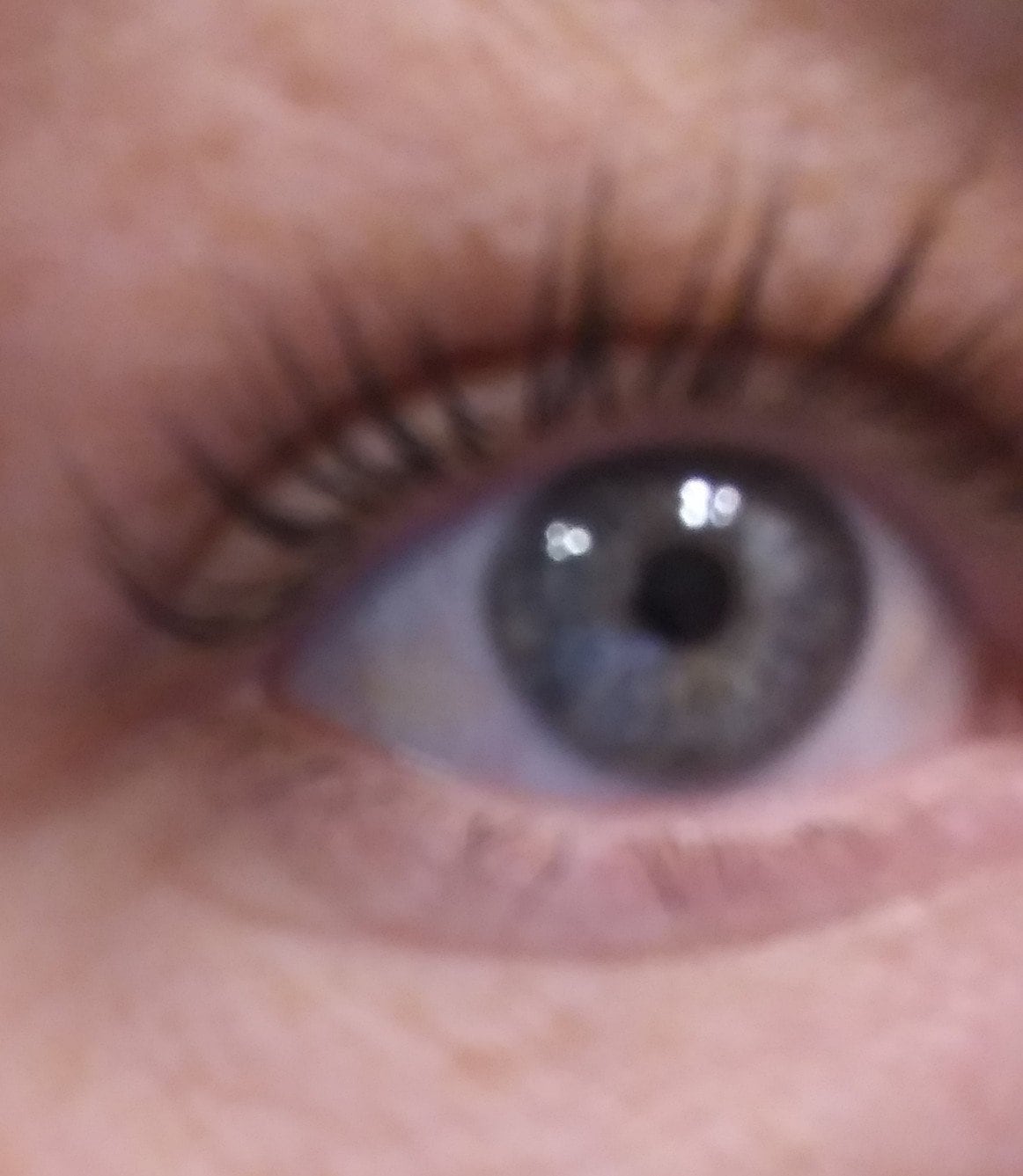 Organic eyelash and brow growth serum