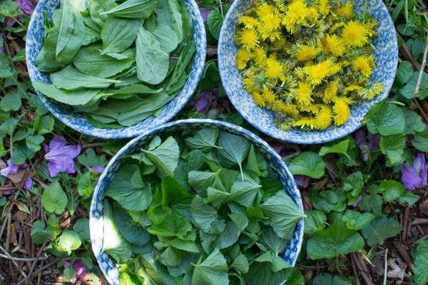 Magic Salve (Mom's go to)