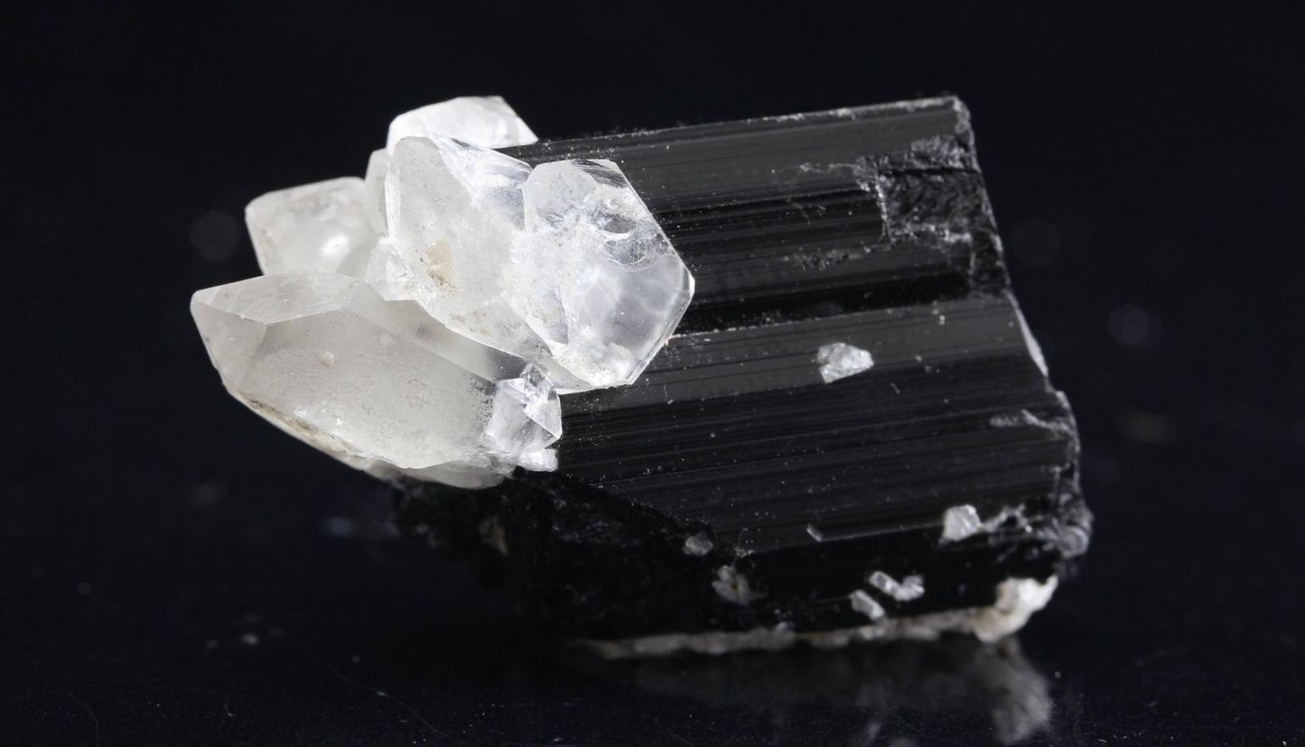 Protection Elixir (black tourmaline, tiger's eye, fluorite, yarrow)