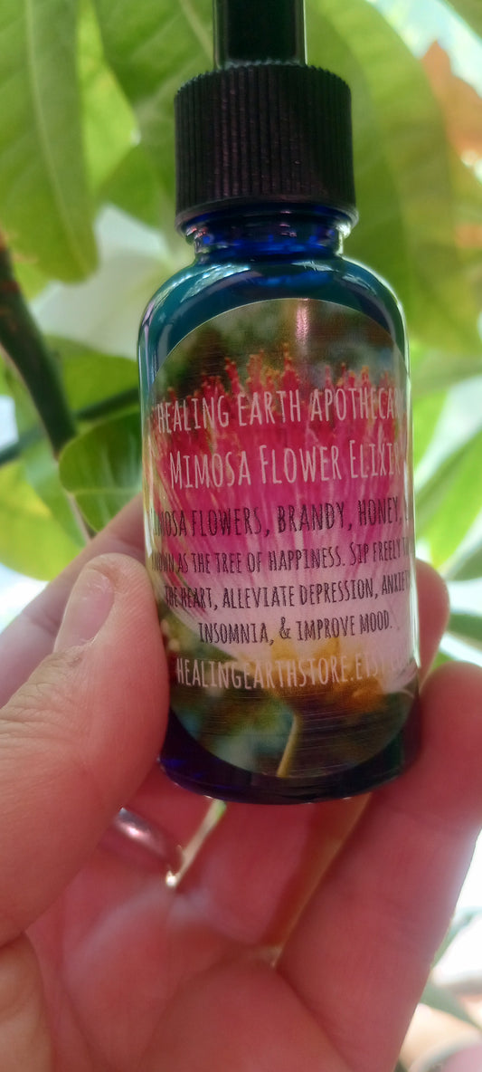 Mimosa Flower Elixir (Mimosa Tincture)