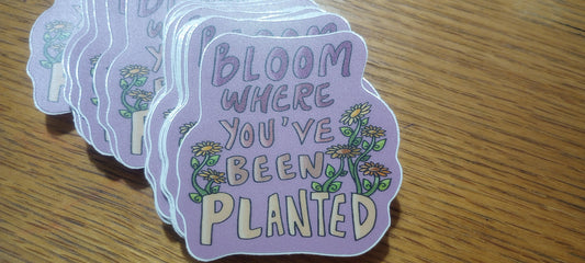 Bloom where you've been planted sticker