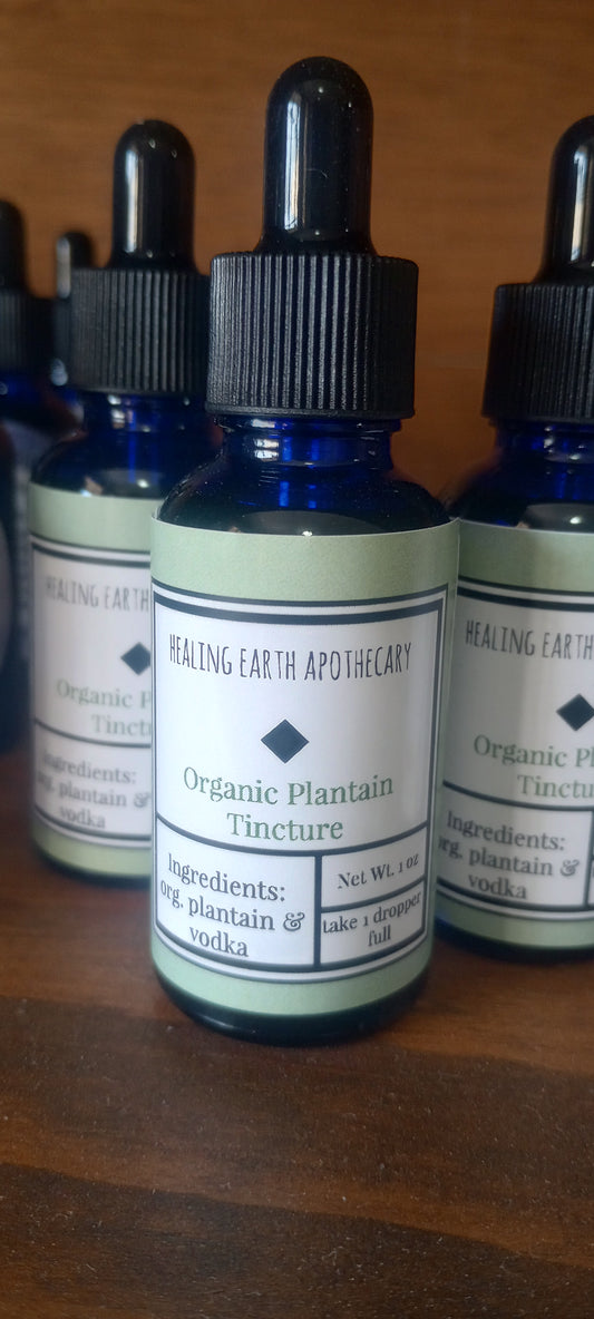 Organic Plantain Tincture