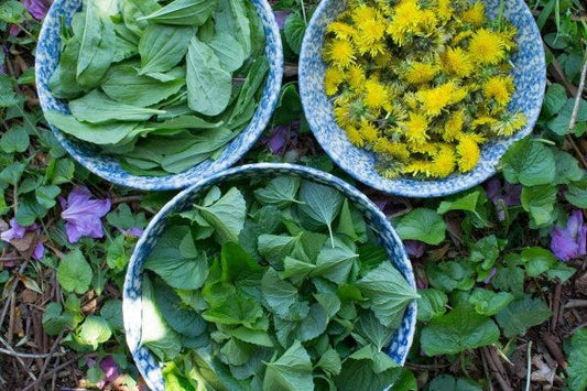 Magic Salve (Mom's go to)